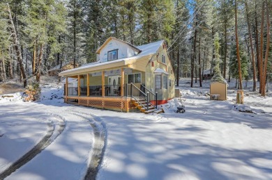 Lake Commercial For Sale in Mccall, Idaho