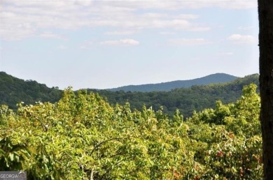 Lake Lot For Sale in Big Canoe, Georgia