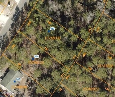 Boiling Spring Lake Lot For Sale in Boiling Spring Lakes North Carolina