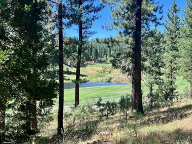 Lake Lot For Sale in Portola, California