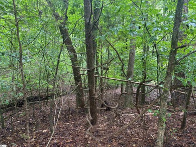 Lake Russell Lot For Sale in Abbeville South Carolina