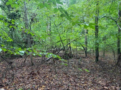 1.37 ACRES ON LAKE RUSSELL - Beautiful lake lot on Lake Russell - photo 6