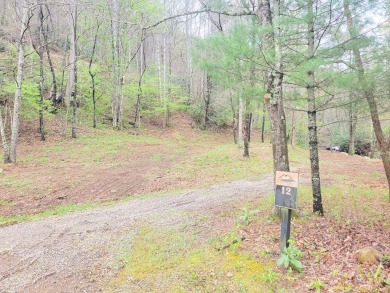 Lake Lot Sale Pending in Canton, North Carolina