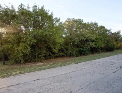 Lake Lot For Sale in Oak Point, Texas