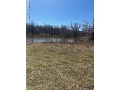 Beautiful waterfront property. Seller has cleared near the lake - photo 1