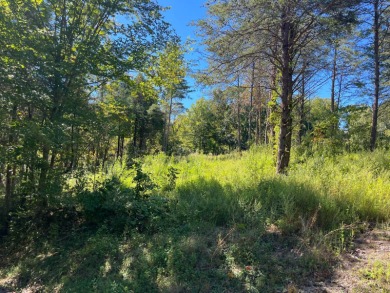 Dale Hollow Lake Acreage For Sale in Burkesville Kentucky