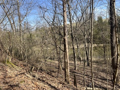 Elmer Davis Lake Lot For Sale in Owenton Kentucky