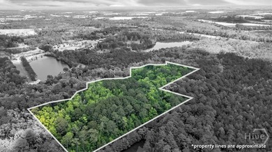 +/-15 acres (2.78 uplands) adjacent to the Highlands Business - photo 1