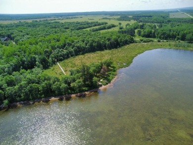 Lake Acreage For Sale in Ponsford, Minnesota