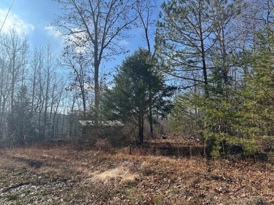 (private lake, pond, creek) Acreage Sale Pending in Crawford Tennessee