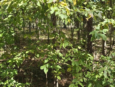 Builders- this is a very desirable lot (very level and in Magnet - photo 2