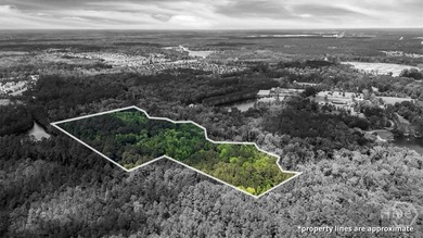 +/-15 acres (2.78 uplands) adjacent to the Highlands Business - photo 4