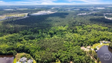 +/-15 acres (2.78 uplands) adjacent to the Highlands Business - photo 6