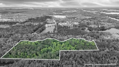 +/-15 acres (2.78 uplands) adjacent to the Highlands Business - photo 10