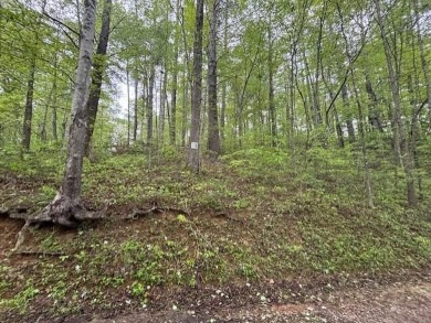 Lake Lot For Sale in Robbinsville (Graham), North Carolina