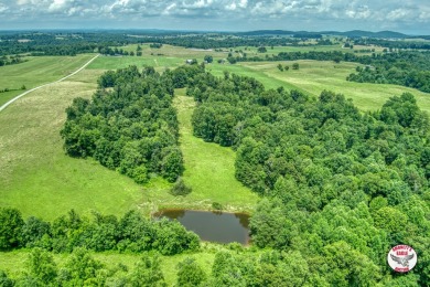 Lake Acreage For Sale in Monticello, Kentucky