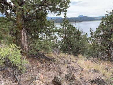 Lake Lot For Sale in Weed, California