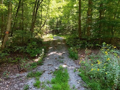 EXCEPTIONAL 'LOW INTEREST' OWNER FINANCING AVAILABLE! This ONCE - photo 12