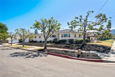 Rare opportunity to secure a TURN-KEY massive CORNER LOT - photo 1
