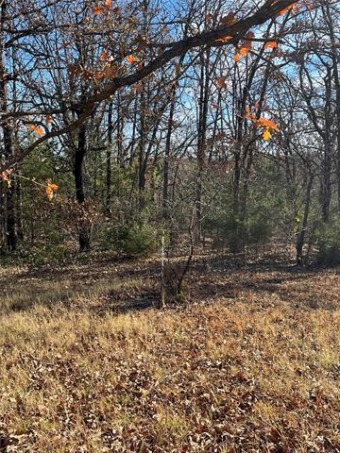 Keystone Lake Lot For Sale in Cleveland Oklahoma