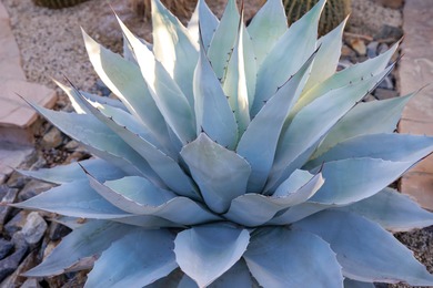 Located behind a dedicated gate in the Barcelona homes cul de