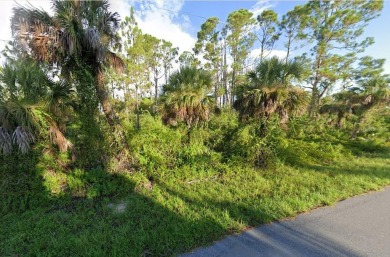 Port Charlotte Waterway Lakes Area Lot For Sale in Port Charlotte Florida