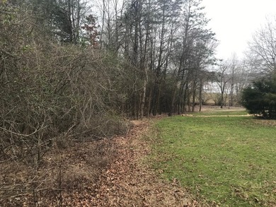 Beautiful Water front lot that is ready to build on. Lot is - photo 5