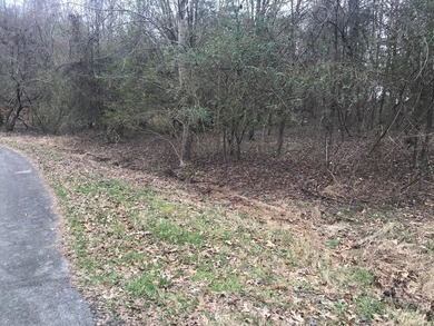 Beautiful Water front lot that is ready to build on. Lot is - photo 6