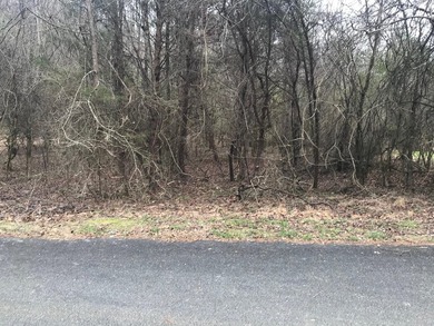 Beautiful Water front lot that is ready to build on. Lot is - photo 7