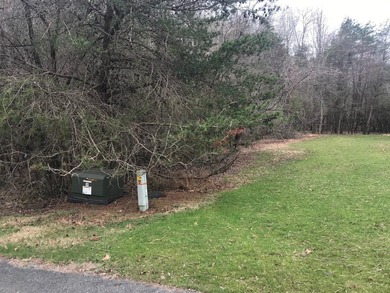Beautiful Water front lot that is ready to build on. Lot is - photo 8