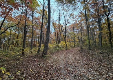 (private lake, pond, creek) Acreage For Sale in Altamont Tennessee