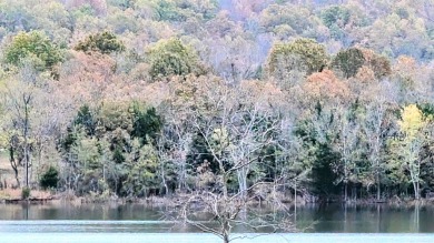 Lake Acreage For Sale in Horseshoe Bend, Arkansas