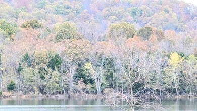 REDUCED $50,000! Beautiful tract of wooded land right on Crown - photo 3