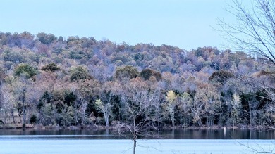 REDUCED $50,000! Beautiful tract of wooded land right on Crown - photo 4
