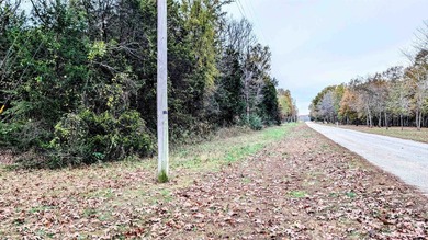 REDUCED $50,000! Beautiful tract of wooded land right on Crown - photo 8