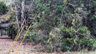 REDUCED $50,000! Beautiful tract of wooded land right on Crown - photo 9