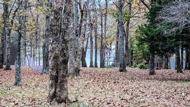 REDUCED $50,000! Beautiful tract of wooded land right on Crown - photo 10