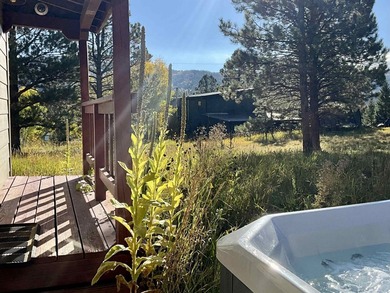 Charming mountain retreat located in the desirable Valle - photo 21