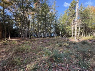 Lake Acreage For Sale in Glenwood, Maine