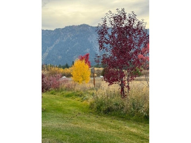 MODERN MOUNTAIN RETREATminutes from Tamarack ! Meticulously - photo 48