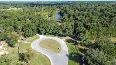 Lake Acreage For Sale in Eustis, Florida