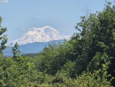 Homestead-ready property with amazing mountain views and room - photo 30