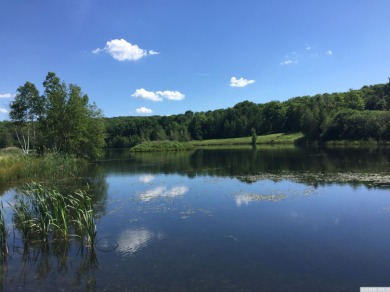 (private lake, pond, creek) Acreage For Sale in Canaan New York