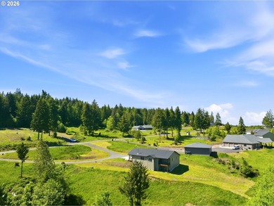 Homestead-ready property with amazing mountain views and room - photo 33