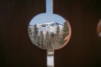 Elevated above Sun Valley, this stunning Austrian style retreat - photo 33