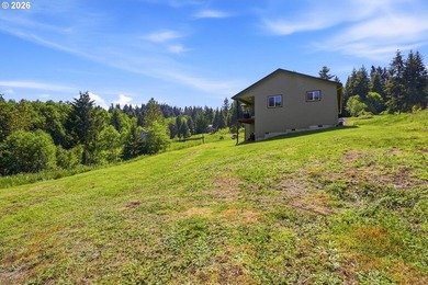 Homestead-ready property with amazing mountain views and room - photo 34
