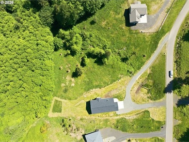 Homestead-ready property with amazing mountain views and room - photo 35