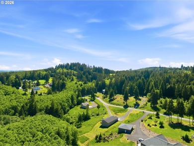 Homestead-ready property with amazing mountain views and room - photo 37