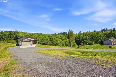 Homestead-ready property with amazing mountain views and room - photo 39
