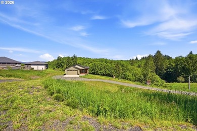 Homestead-ready property with amazing mountain views and room - photo 40